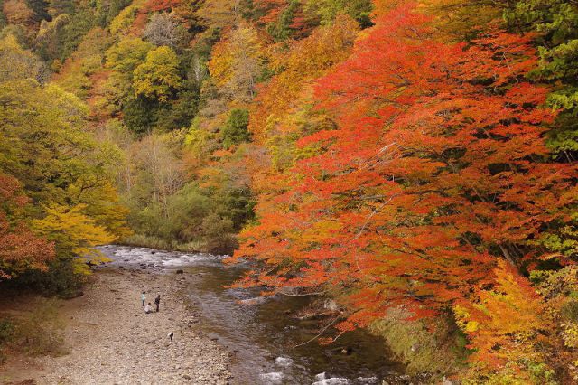 散策や温泉も楽しめる紅葉の名所、薬研（やげん）渓流