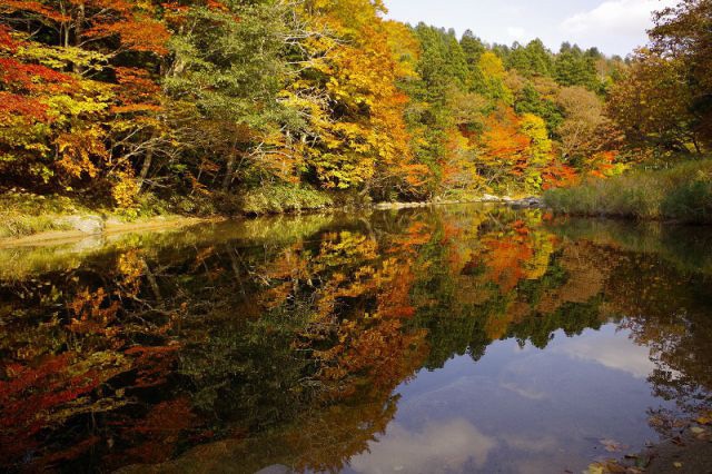 散策や温泉も楽しめる紅葉の名所、薬研（やげん）渓流