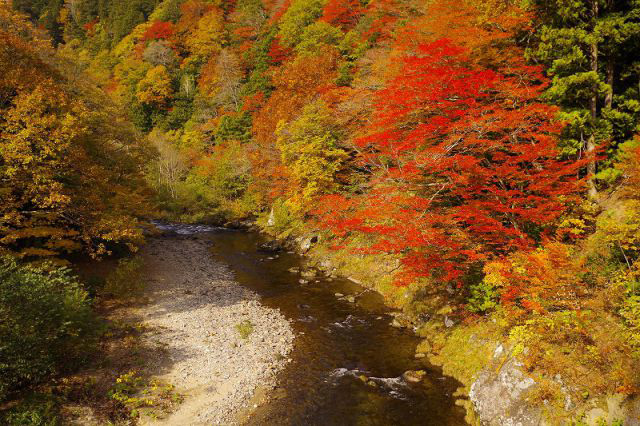 散策や温泉も楽しめる紅葉の名所、薬研（やげん）渓流